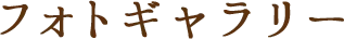 フォトギャラリー