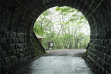 写真：天城トンネル